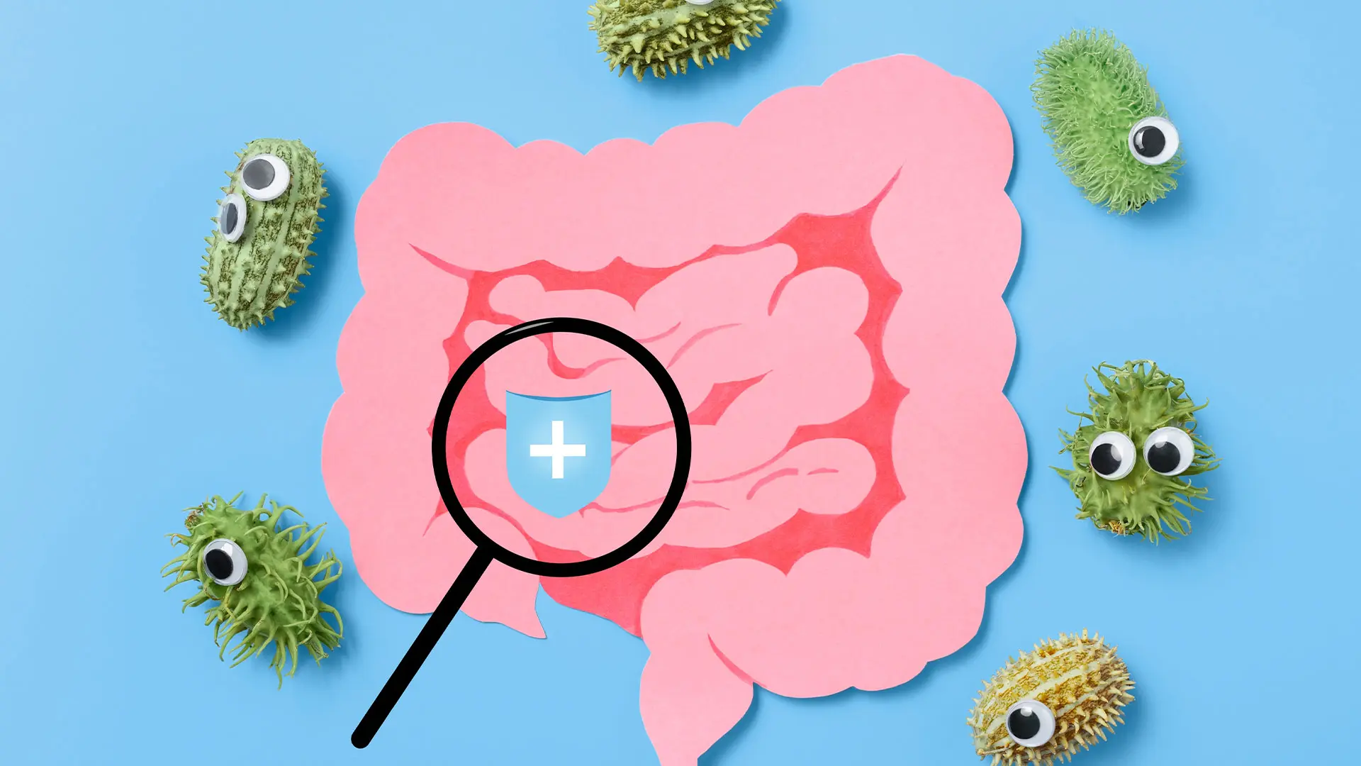 Flora intestinală sub lupă: Când și cum intervin probioticele