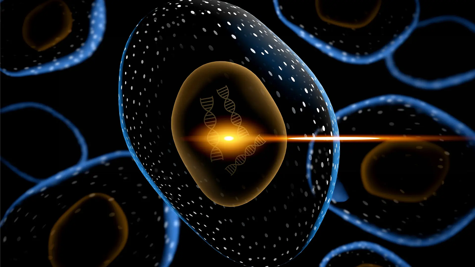 Memoria nu este asociată doar cu creierul. Un nou studiu dezvăluie abilități de învățare ale celulelor renale și nervoase